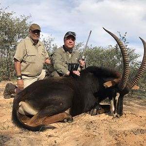 South Africa Hunt Sable Antelope