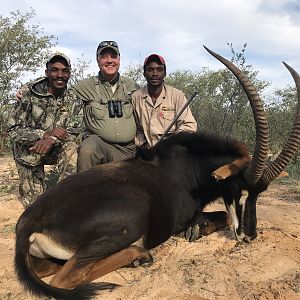 Hunting Sable Antelope in South Africa