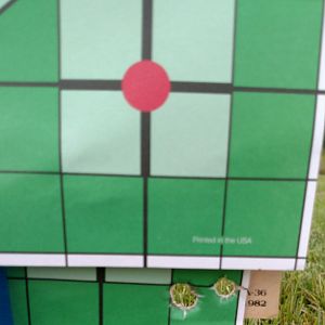 Ruger No.1 Rifle in .375 H&H Range Shots