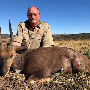 Hunting Bushbuck in South Africa