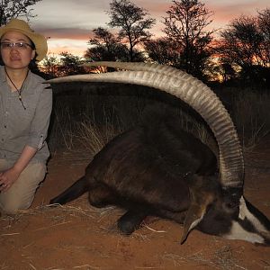 Namibia Hunt Sable Antelope