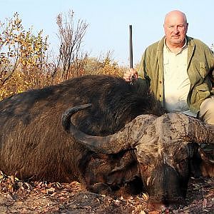 Monster Cape Buffalo Hunt in Namibia