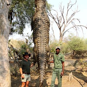 Hunting Crocodile in Namibia