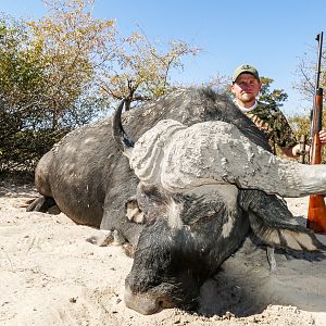 Hunt Buffalo in Namibia