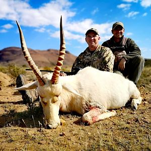 South Africa Hunt White Blesbok