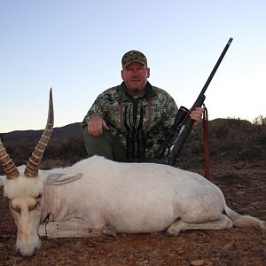 Hunt White Blesbok in South Africa