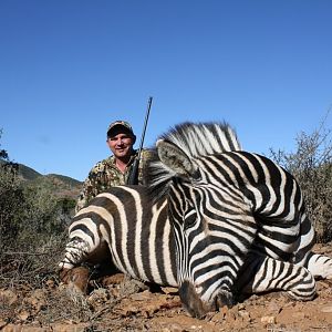 Burchell's Plain Zebra Hunt South Africa