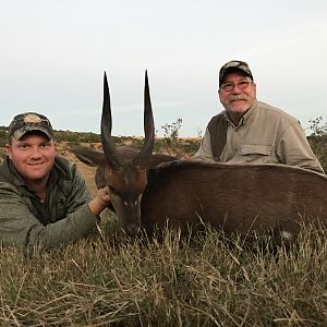 South Africa Hunting Bushbuck