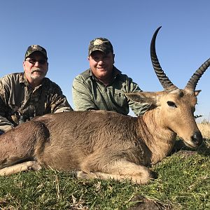 Reedbuck Hunt South Africa