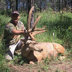 Utah USA Hunting Mule Deer