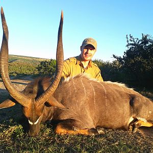 Nyala Hunting South Africa