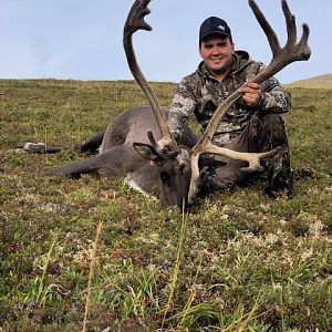 Caribou Hunting Alaska USA