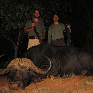 Hunting Cape Buffalo in Namibia