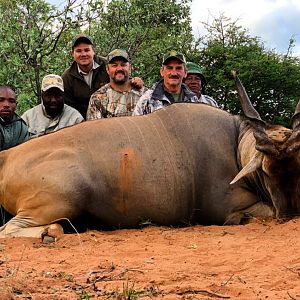 Namibia Hunt Eland