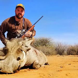 Namibia Hunt Warthog