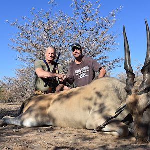 Botswana Hunting Eland