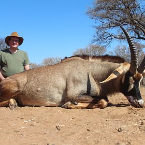 Hunt 28" Inch Roan in South Africa
