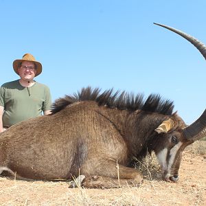 South Africa Hunting 41" Inch Sable Antelope