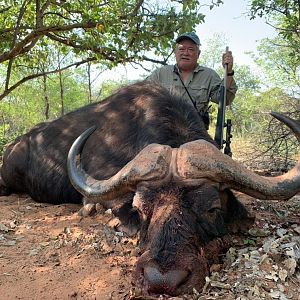 Buffalo Hunting Namibia