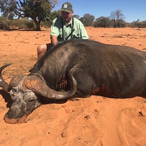 Hunt Cape Buffalo in Namibia