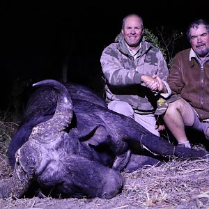 Zimbabwe Hunt Cape Buffalo