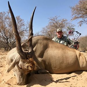 Eland Bow Hunting South Africa