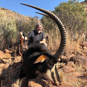 South Africa Hunt Sable Antelope