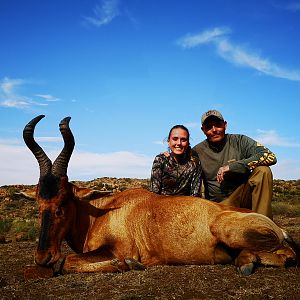 Hunt Red Hartebeest in South Africa