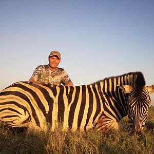 South Africa Hunt Burchell's Plain Zebra