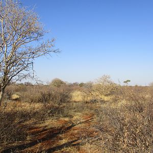 Hunting Area South Africa