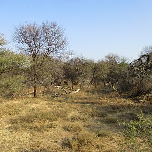 Sable by the Crocodile River South Africa