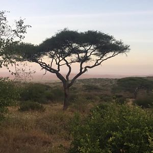 Masailand Tanzania