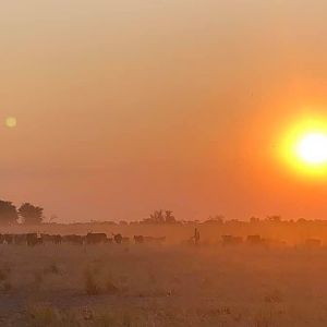 Caprivi/ Zambesi Region Namibia