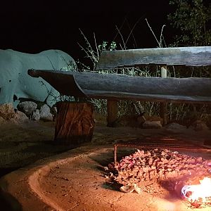 Elephant hanging out around the campfire
