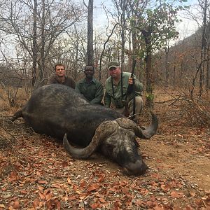 Zimbabwe Hunting Buffalo