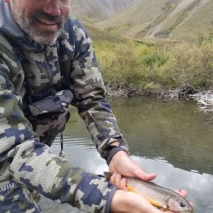 Fly Fishing Alaska USA