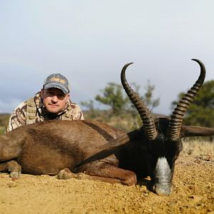 Bow Hunt Black Springbok in South Africa