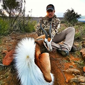 South Africa Bow Hunting Springbok