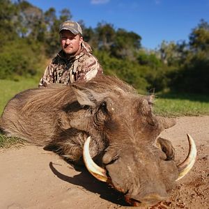 South Africa Bow Hunting Warthog