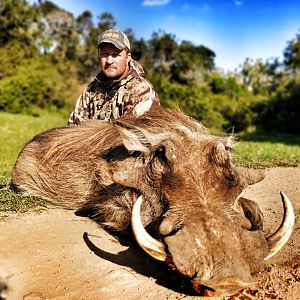 Warthog Bow Hunt South Africa