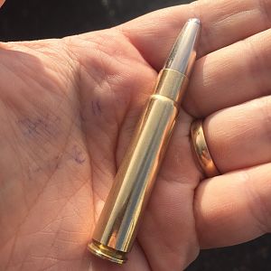 Norma Alaska nickel coated bullet
