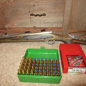 458 B&M Rifle & mix of 450gr CEB solids, 420 gr CEB raptors, and 300gr Barnes