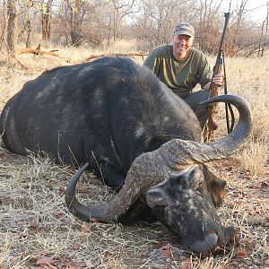 Zimbabwe Hunting Cape Buffalo