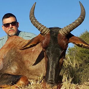 Hunting Tsessebe in South Africa