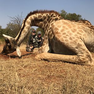 Hunting Giraffe in South Africa