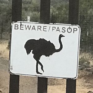 South Africa