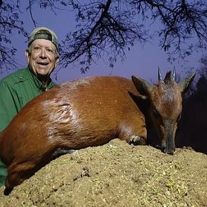 Hunting Red Duiker in South Africa