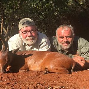 South Africa Hunting Red Duiker