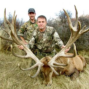 Hunt Red Stag in New Zealand