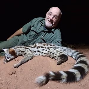 Hunt Genet Cat in South Africa